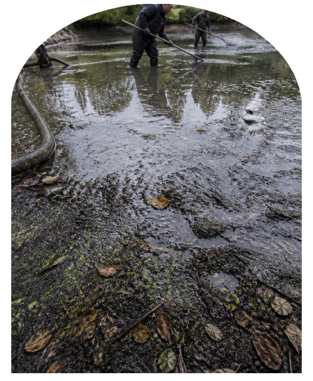Очистка пруда в Добрянке от ила мусора и водорослей с вывозом